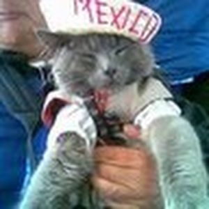 Meet your Posher, Casey